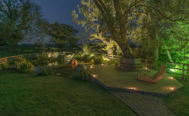 Duck Pond 1